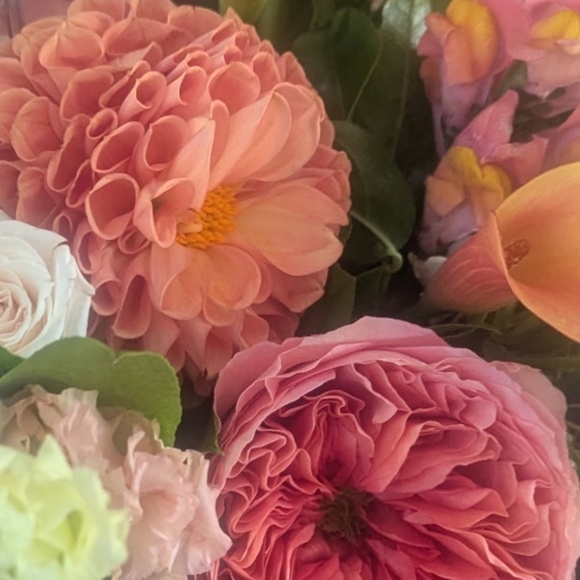 Hiya - Picture 1 of 1